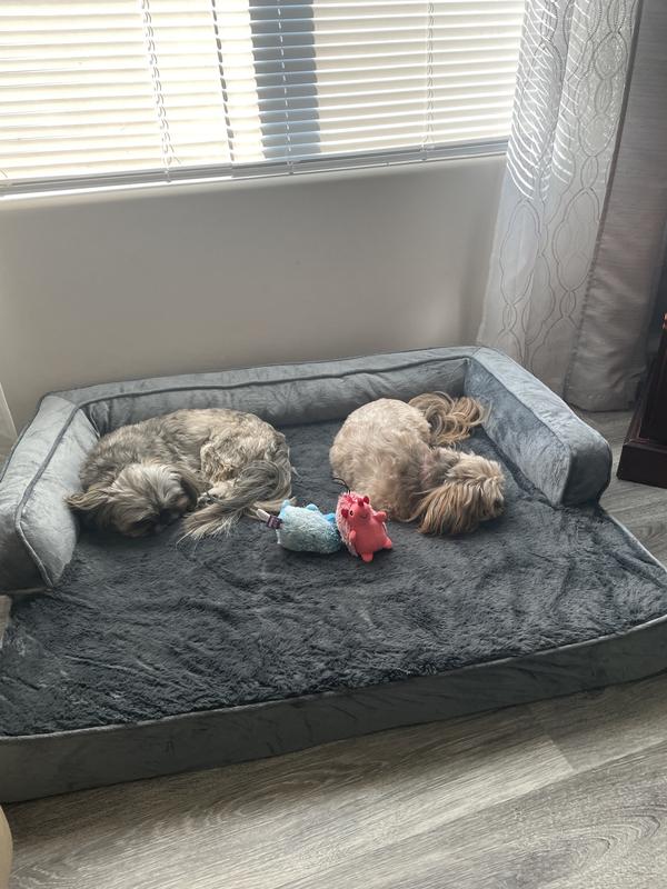 Mia and Brandy spend a lot of time on this bed!  They love it!