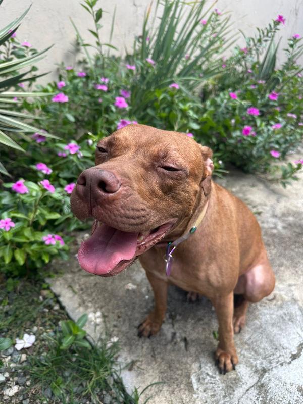 Allergic to everything