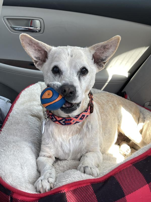 Wish you could have seen our bond