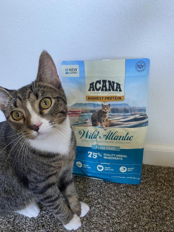 Acana wild atlantic outlet reviews