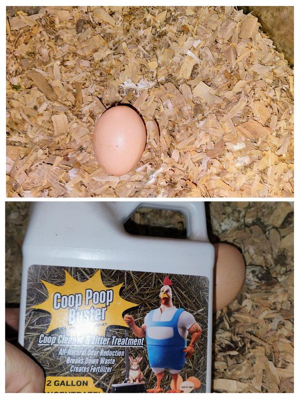 This cleaner really works!