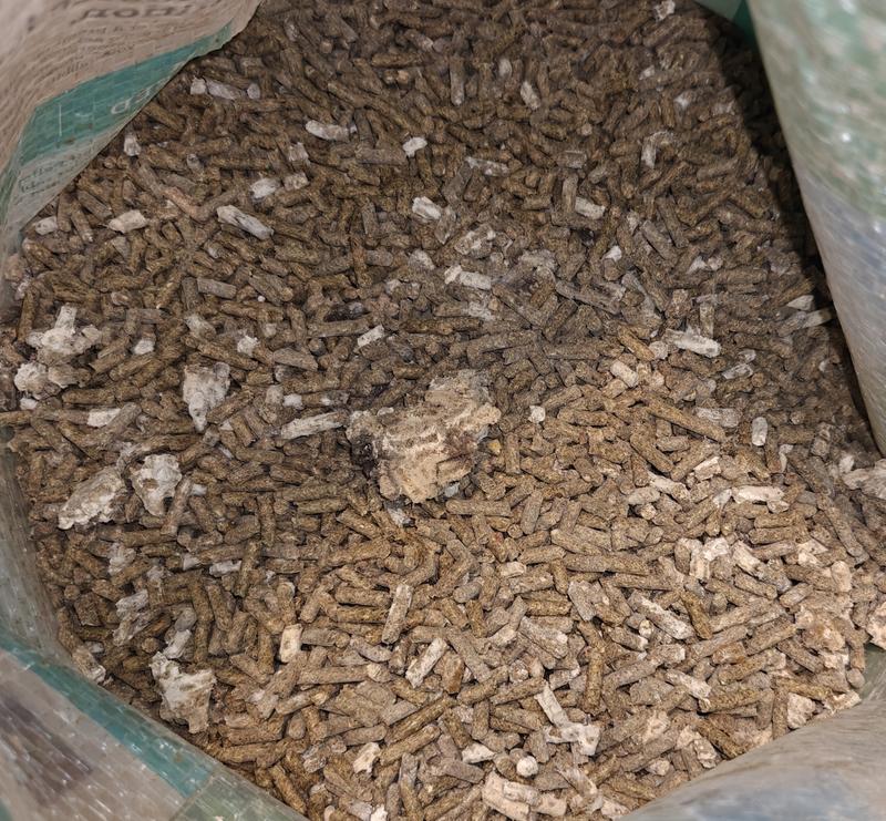 Feed is moist, moldy and stinks.