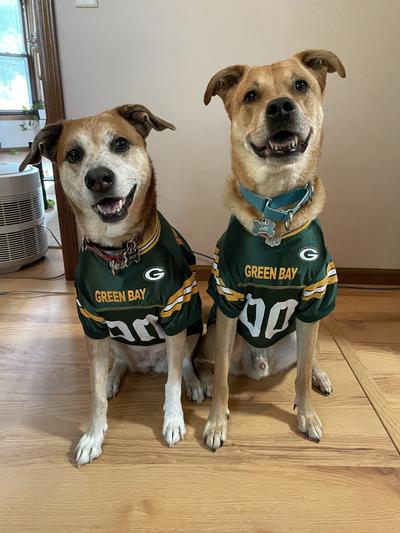 Pets First NFL Green Bay Packers Mesh Dog Jersey, X-Large