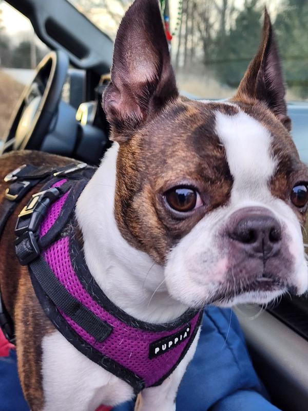 Working the weight off.