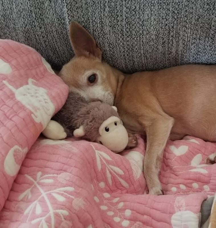 Just a girl and her monkey