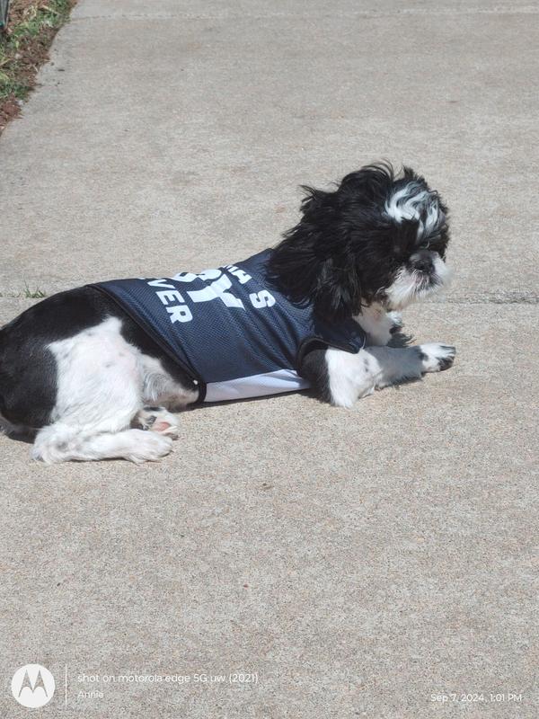 Frisco Baseball Dog & Cat T-Shirt