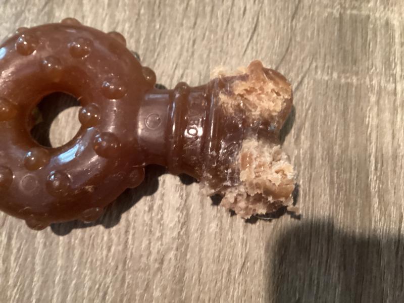 Awful! Chewed up in less than one day