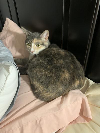 My Mia in my bed