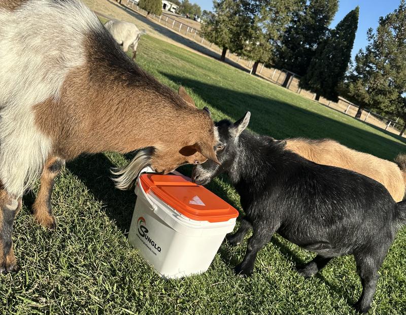 Tasty Pelleted Supplement Full With Benefits