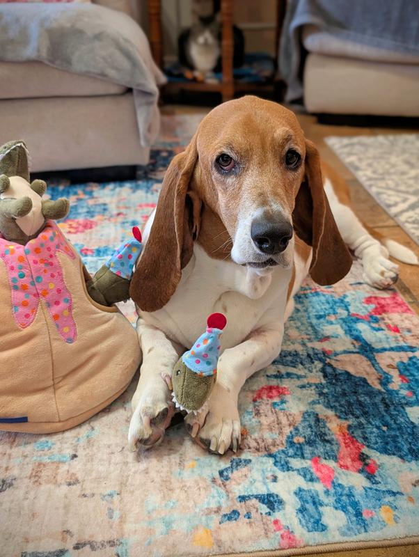 Pulling out the mini Dinos