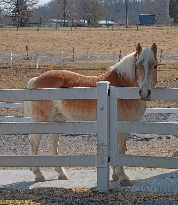 Endure protects me from all those nasty bugs!