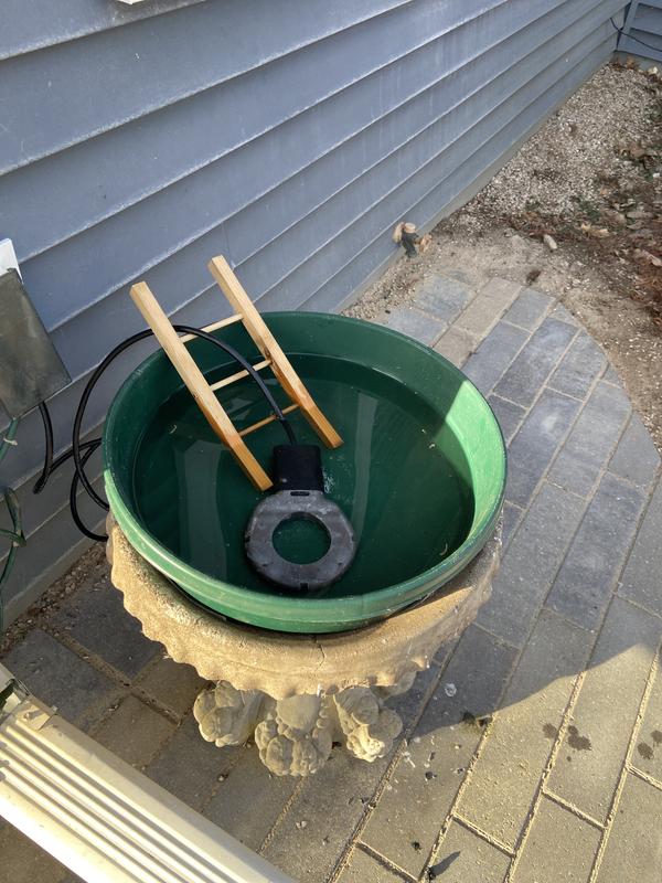 Best bird bath heater!!!