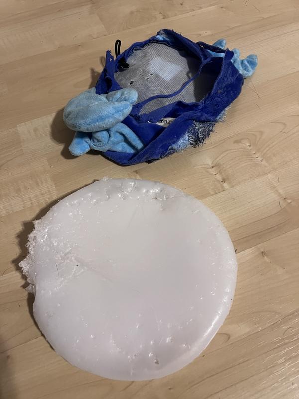 This toy didn’t have a chance against my Evie