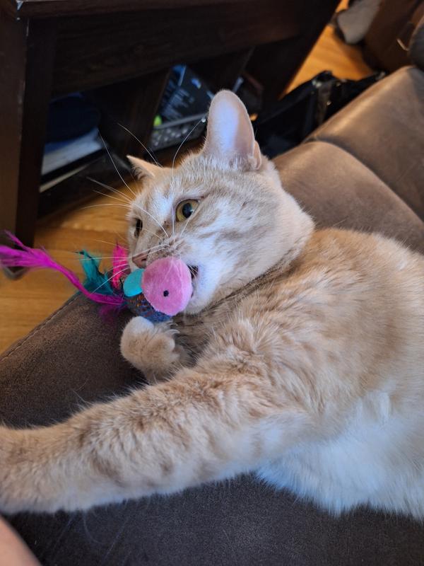 CAT FISH ソフビ FRISCO Sparkle Fish Plush Cat Toy with Catnip, 2 count