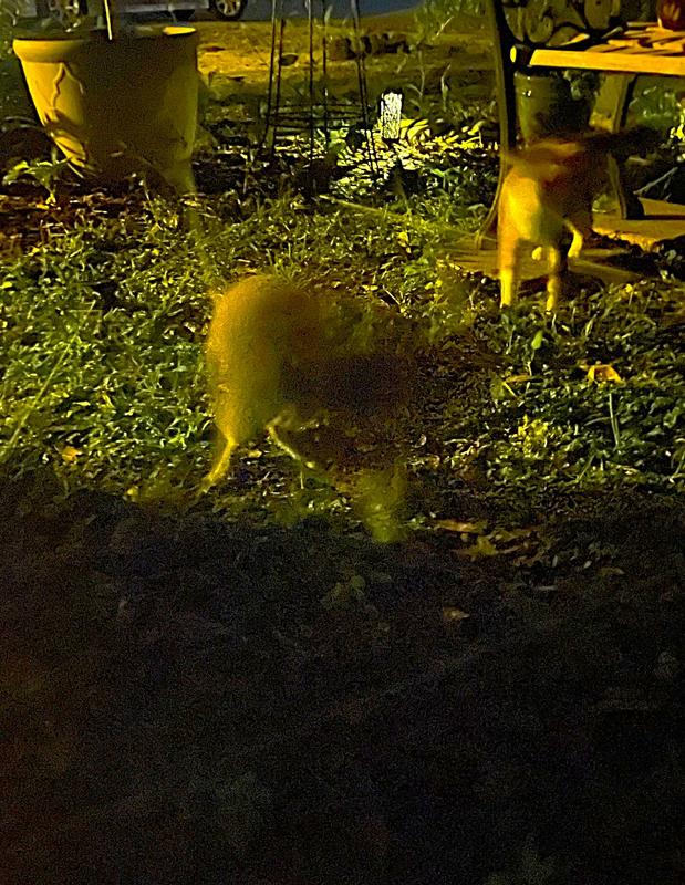 Anytime anyplace setup!