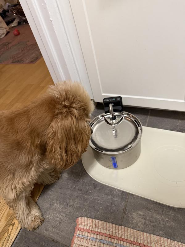 Cautiously Curious 🤍