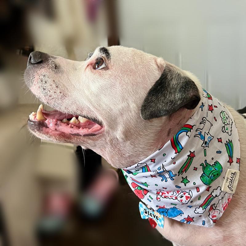 Side view of a black and white dog wears a hand coloured bandana