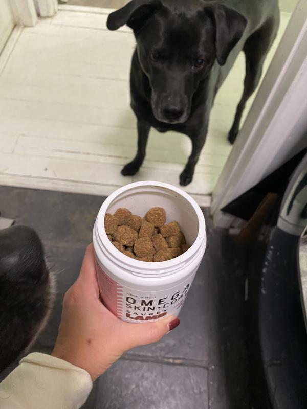 They get so excited about these