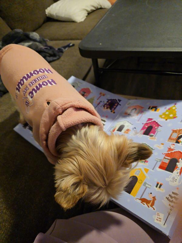 Trying to open treat door