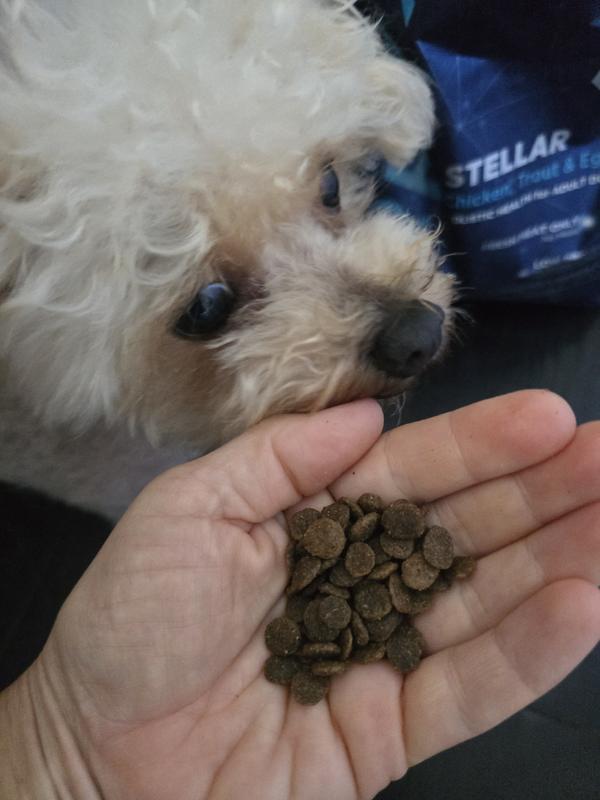 Love the kibbles size and shape.