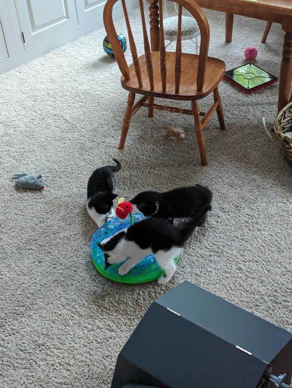 Picture speaks for itself