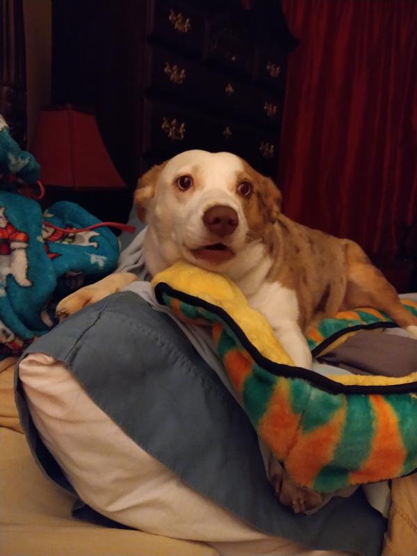 Willow and her snake.