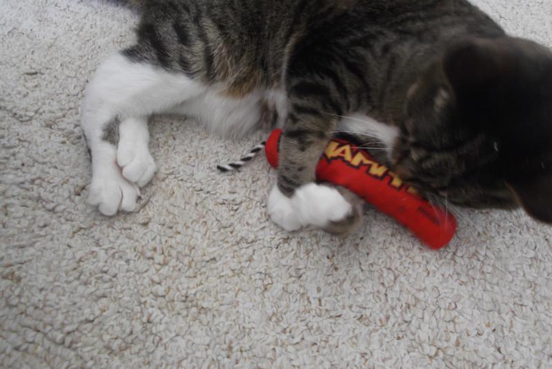 Dynamite best sale cat toy