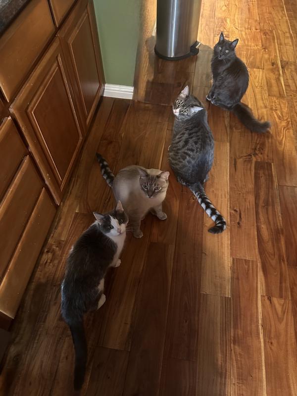 All my Babies but one!