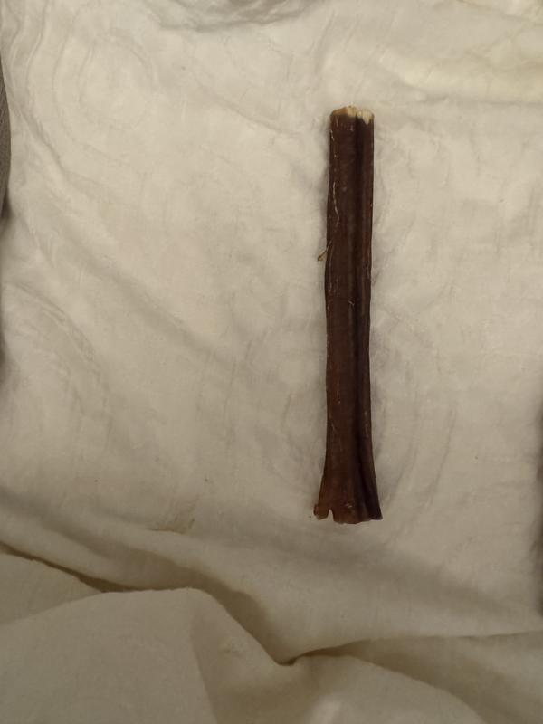 Thin stick , hollow !