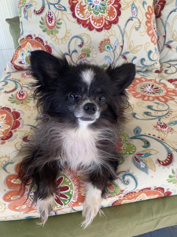 Our precious Mia.