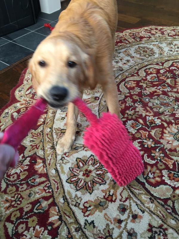 Happy Dog