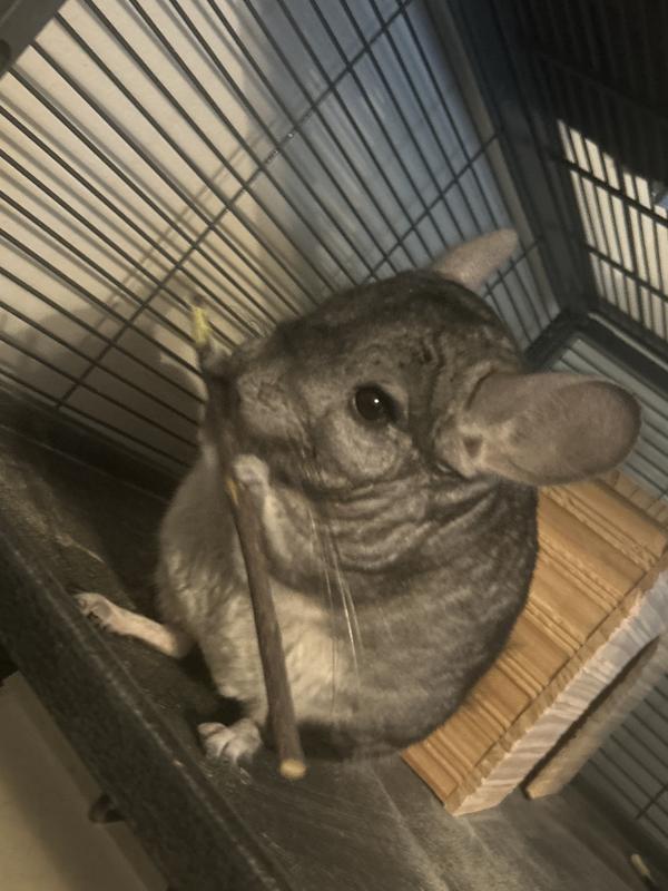 Works just like the original!