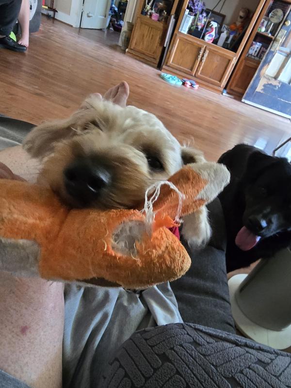 Soon to be destroyed, and took expend