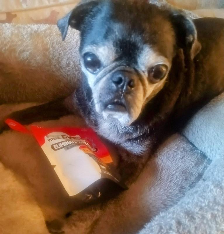 Please, can I have one?