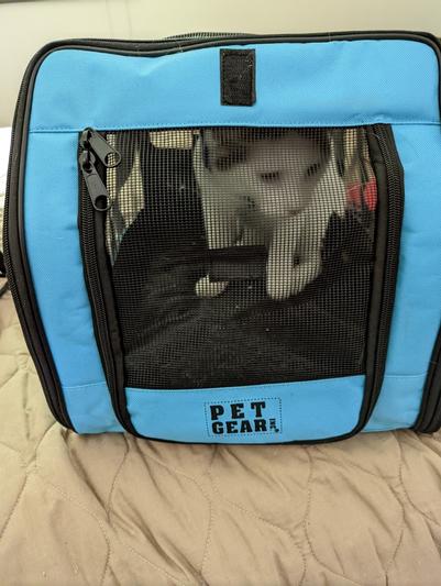 PET GEAR Signature Dog & Cat Car Seat & Carrier Bag, Aqua 