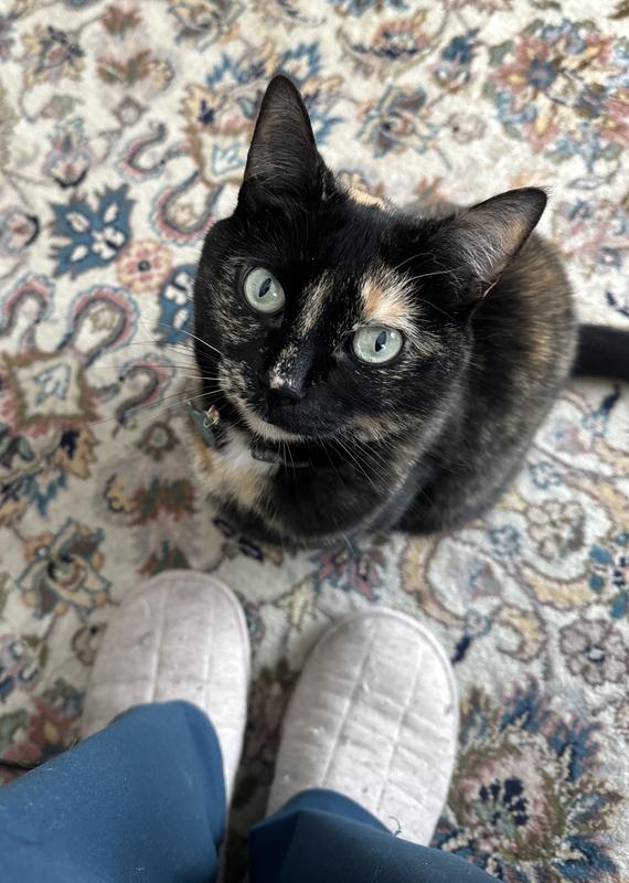 Asking for her treat!!