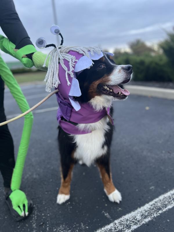 After 8 months of use