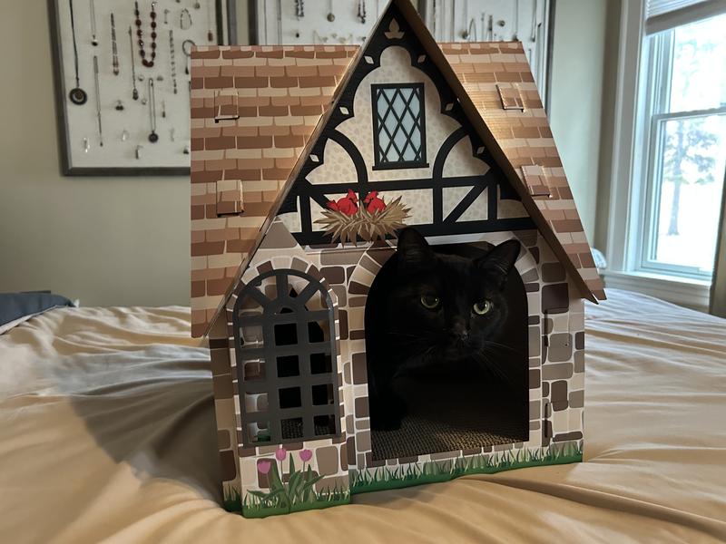 Happy cat house!