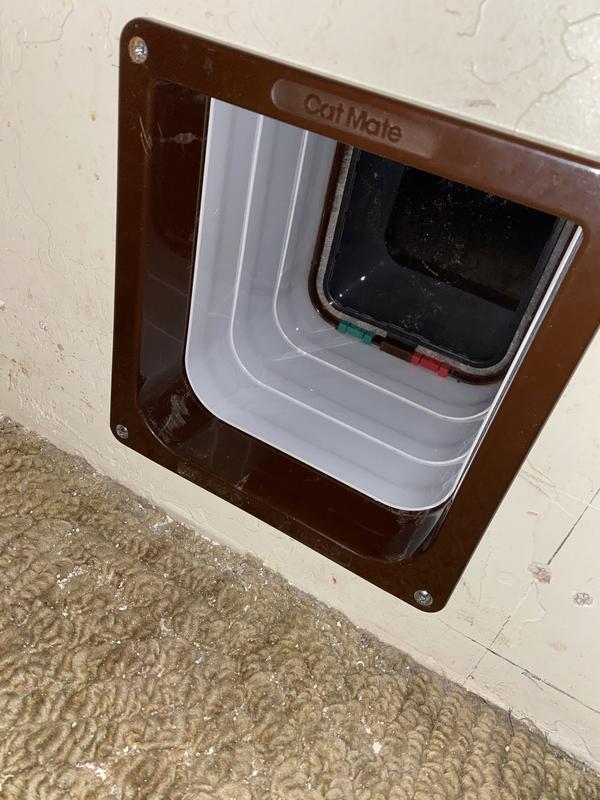 CAT MATE 4-Way Locking Cat Flap with Door Liner, White - Chewy.com