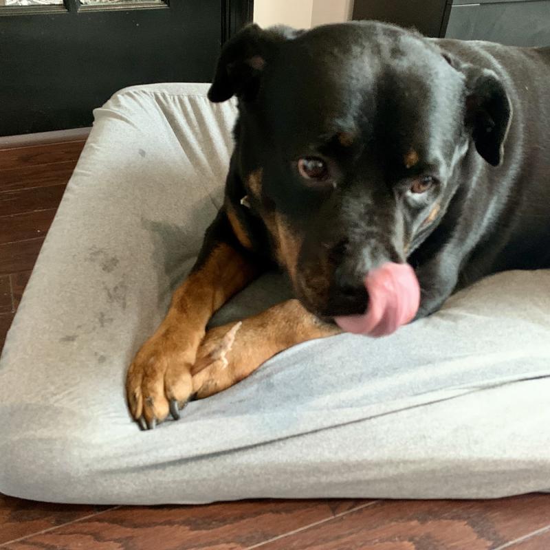 9 minutes in he had gotten real serious!