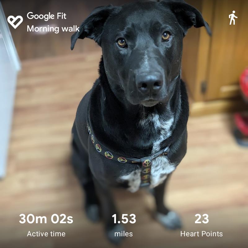 Sam posing for a picture