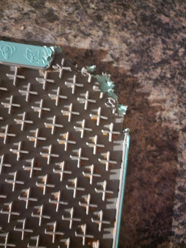 1st day dog chewed off corner