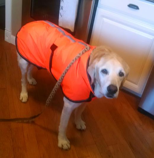 My handsome for baby!