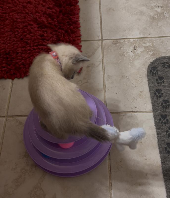 Which way did it go ?