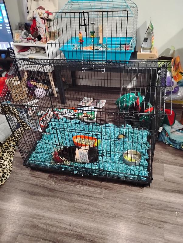 FRISCO House Shaped Small Pet Wire Cage, 36-in - Chewy.com