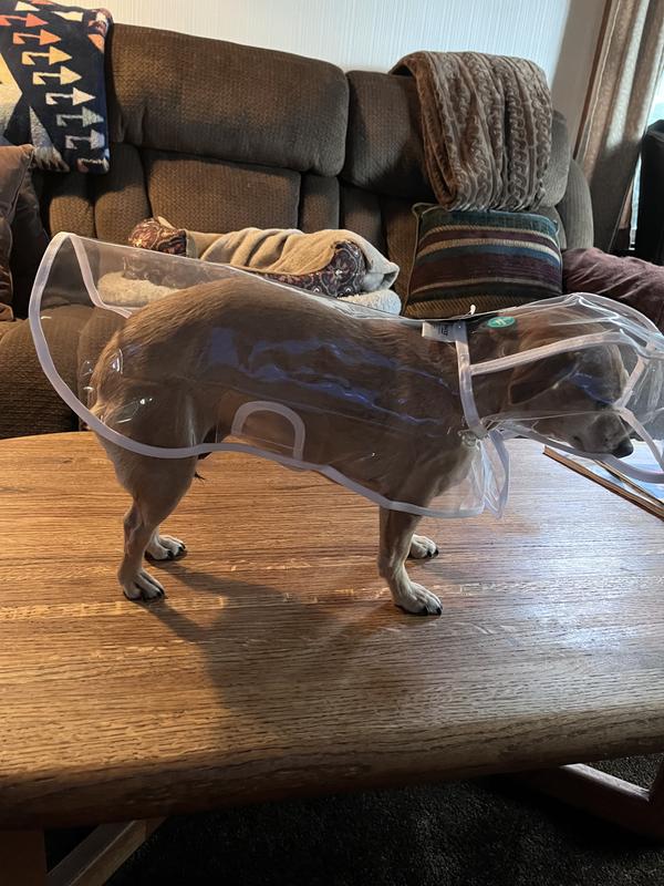 Remarkably effective