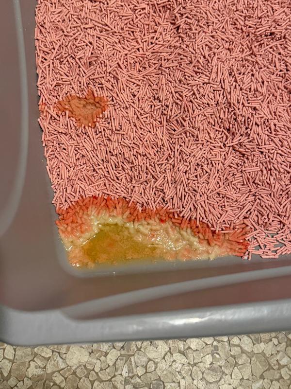 Urine stayed on top (cat has kidney issues and does not bury his business) but we covered it and was able to scoop it up without an issue