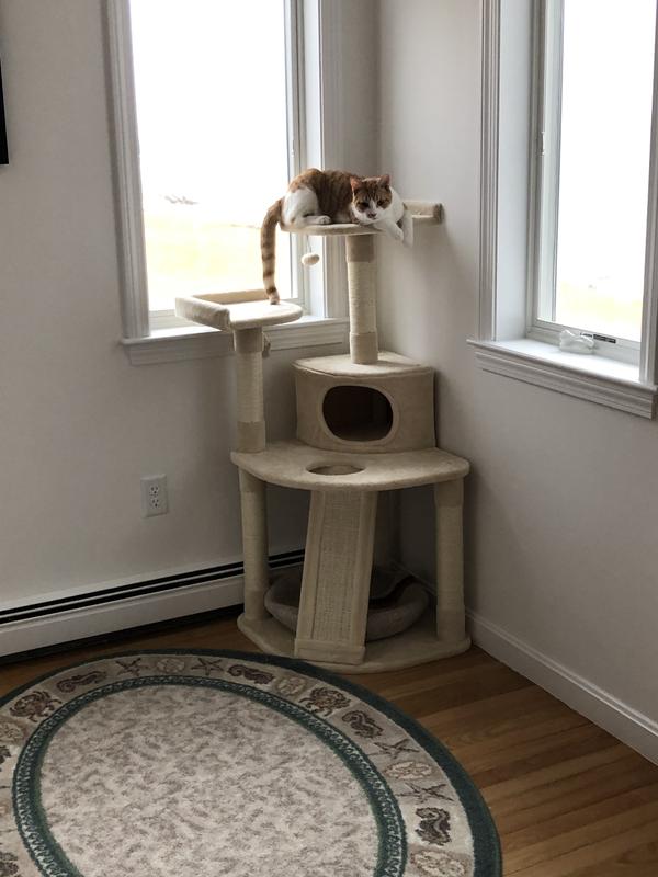 FRISCO 48-in Faux Fur Cat Tree & Condo, Cream - Chewy.com