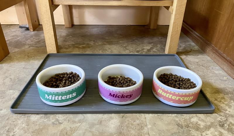 My cats love their dishes!
