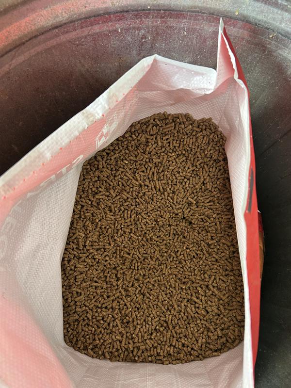 Grain is was clean and uniform in bag